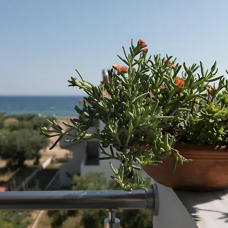 The House Of The Roses